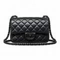 Chanel Quilted Shoulder & Crossbody Bag